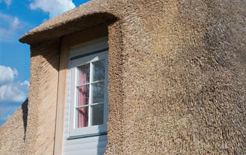 Seedley thatch roof disadvantages