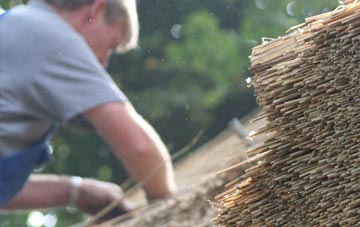 professional Seedley thatchers