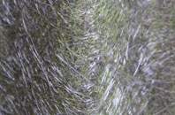 Seedley fibreglass roof work